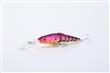 LONG MINNOW
